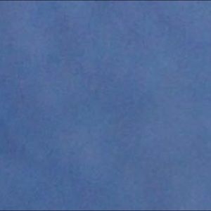 Meet your Posher, Eva